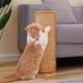 OEM NCD E-Commerce Handel GmbH Cardboard Cat Scratching Post - Beige