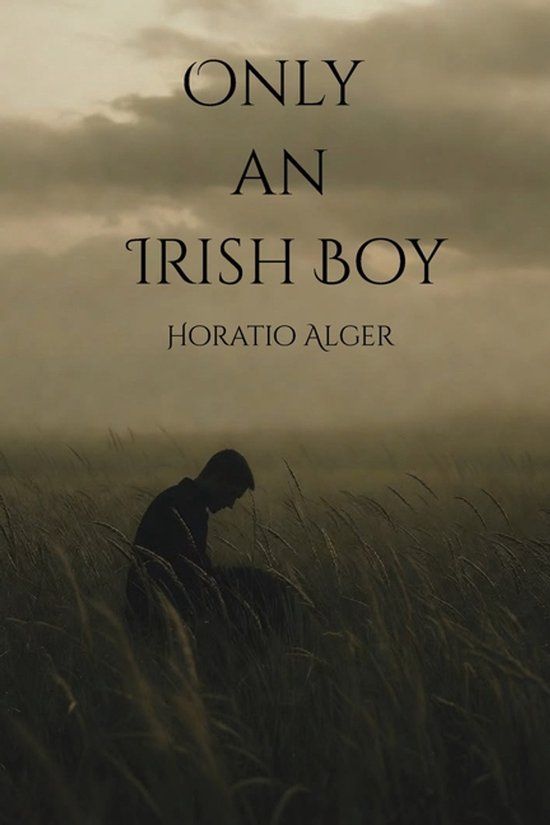 Only Libri GmbH Only an Irish Boy Paperback