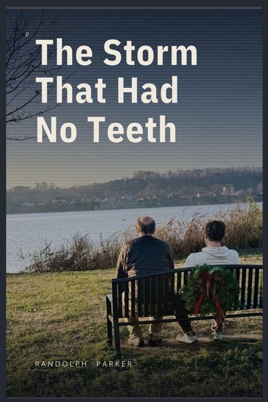 The Libri GmbH The Storm That Had No Teeth Paperback