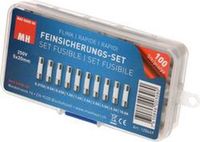 Max Hauri Buiszekering assortiment (Ø x l) 5 mm x 20 mm Snel -F- Inhoud 100 stuk(s)