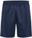 Hummel Active PL Shorts Blauw S Mannen