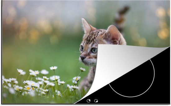 KitchenYeah® Inductie beschermer 77x51 cm - Een kitten in het gras - Inductiebeschermer voor inductiekookplaat