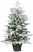 Everlands Grandis mini boom d63h90cm grn