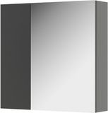 Vicco Leopold Badkamerspiegelkast – 60 x 59.2 cm Met legplanken en 1 spiegeldeur Antraciet