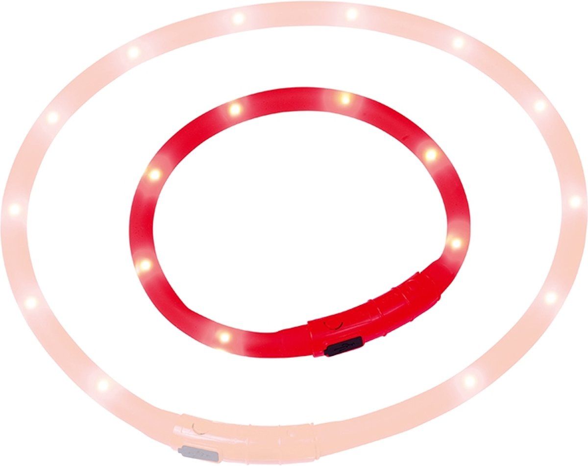 Nobby Starlight Lichtkoord Regelbare Flash Frequentie Rood 40 cm