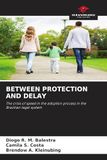Between Protection and Delay: The crisis of speed in the adoption process in the Brazilian legal system