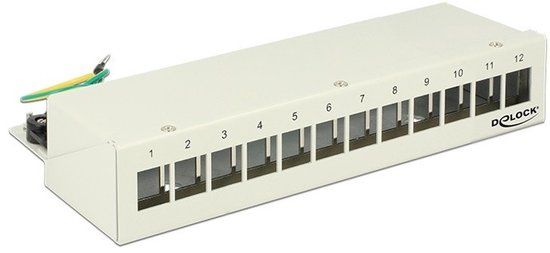 DeLOCK 43335 Patch Panel - 12 Poorten - Grijs