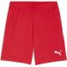 Puma TeamGoal Shorts