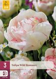 Jub Tulipa Wild Romance bloembol JUB 3 stuks