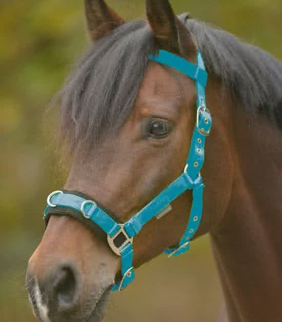 Waldhausen Nylon kaptoom zwart onderlegd maat pony