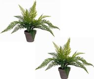Mica Decorations Kunstplant - Varen - Groen - 36 x 40 cm - 2 stuks
