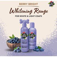 Pet Head Berry Bright Hondenshampoo 300ml