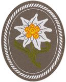 Clawgear insigne ovale Edelweiss
