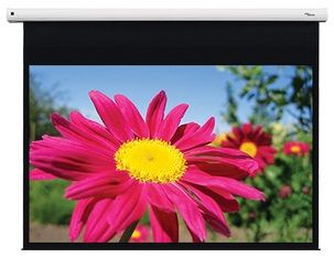 Optoma DE-1095EGA - Projectiescherm - 95 inch - 16:10 - Motorisch - Zwart/Wit