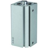 RIEGLER 115073-12.DMI.20035 korte cilinders »ACQ« dubbelwerkend, zuiger-Ø 20, slag 35, M5x0,8, 1st