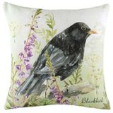 Evans Lichfield Spring Birds Black Bird aquarel veer rijk gevuld kussen