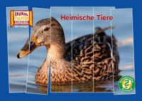 Rätselstreifen Hase und Igel Verlag Rätselstreifen Ratespaß: Heimische Tiere / Kamishibai Bildkarten