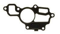gasket, Icecat Gasket, thermostat
