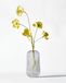 HEMA Vase ⌀16,5 X 20,5 Cm Bink Verre Nervuré Transparent