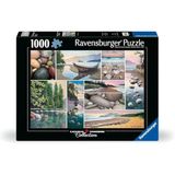 Ravensburger West Coast Tranquility 1000 Piece Jigsaw Puzzle for Adults