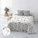 Belum Sprei Bouti, 100 g, bed 180 cm, afmetingen: 280 x 270 cm, stof: 100% biologisch katoen, 175 draden, Oeko-Tex-gecertificeerd, model: Santorin