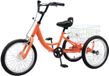 Happiq Vélo enfant Fioren - 16 pouces - Tricycle - Orange - Avec panier - Pour garçons
