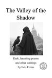 The Libri GmbH The Valley of the Shadow Paperback