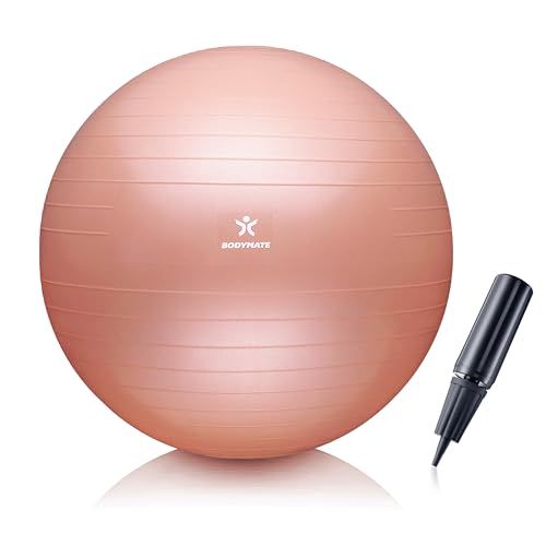 Bodymate Swiss Ball Fitnessbal met e-book Pomp - Fitness Yoga Core