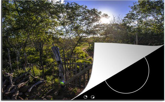 KitchenYeah® Inductie beschermer 77x51 cm - Groene planten en bomen tijdens zonnige dag in Catimbau - Inductie beschermer