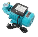 Pompe à eau portable/pompe de transfert - Pompe à jet électrique auto-amorçante - Pour eau claire - Pompe de surface - Convient aux puits peu profonds - Pour l'irrigation de jardin/champs - Prise UE