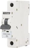 asvendo Schelinger Installatieautomaat 10A B-karakteristiek - 1-polig - 230/400V - A02-G8-1P-B10 - IP20
