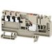 Weidmüller 2464690000 Bloc de jonction série 8.1 mm bornier à poussoir Beige 20 pièce(s)