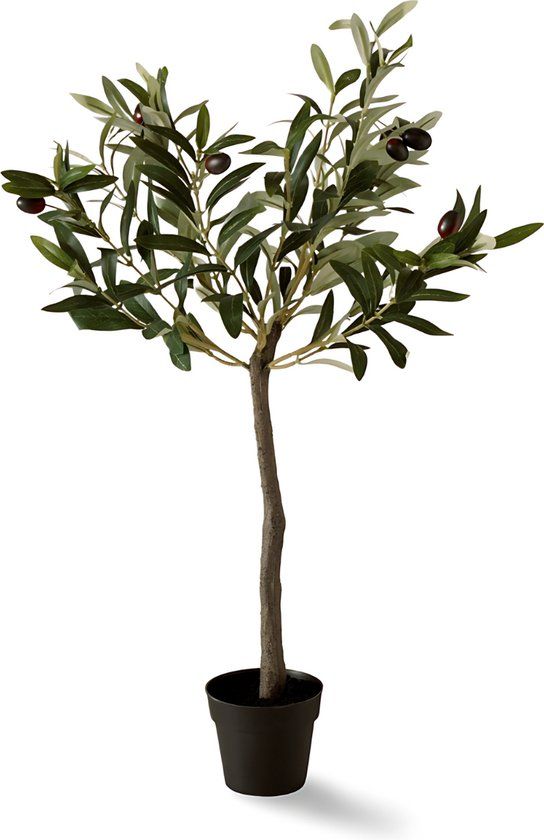 Dulaire Kunst Olijfboom - 65 cm - Groen