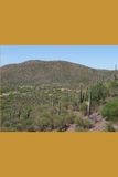 B'ajlom ii Nkotz'i'j Publications Navajo Phrasebook