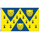 AZ FLAG Vlag Shropshire 90x60 cm Polyester