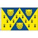 AZ FLAG Vlag Shropshire 90x60 cm Polyester