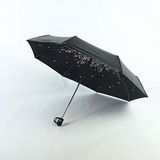 Kabinga Parasol