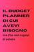 Il budget planner di cui avevi bisogno: Ma che non sapevi di volere