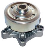 IPS Parts IPW-7279 waterpomp