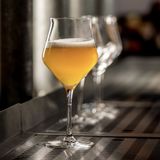 Lehmann Craft Bierglazen 44 cl / 440 ml | Set van 6 Stuks | Kristal | Vaatwasserbestendig