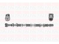 C257 FAI C257 nokkenas OE kwaliteit | Compatibel met: NISSAN INTERSTAR Bus, INTERSTAR Kasten, INTERSTAR Pritsche/Fahrgestell, PRIMASTAR Bus, PRIMASTAR Kasten