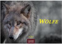 Wölfe Casares Fine Art Edition Wölfe Kalender 2027 - Wandkalender | Fotokalender Tierkalender 24x35cm - . mit faszinierenden Wolf-Motiven,