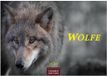 Wölfe Casares Fine Art Edition Wölfe Kalender 2027 - Wandkalender | Fotokalender Tierkalender 24x35cm - . mit faszinierenden Wolf-Motiven,
