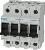 Doepke Lastscheider - 09981063 - E3573