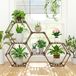 Unyqoos® Hexagonale plantenstandaard van eucalyptus hout