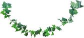CHAKS Klimop kunstplant slinger - 220 cm - groen