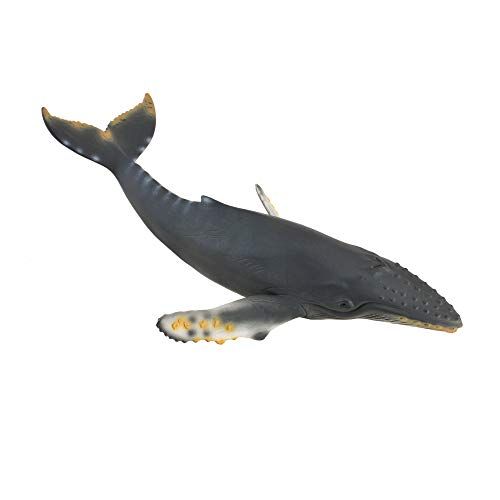 Collecta Humpback Whale - 2021 Model