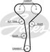 GATES Distributieriem 5507XS