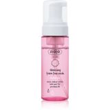 ZIAJA Cleansing Foam Face Wash - Čisticí Pěna Pro Normální Pleť 150ml
