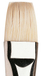 Winsor & Newton Winton Oil Paint Brush Flat Short (Size 12)
